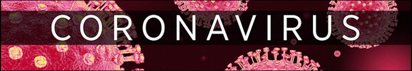 Coronavirus 4