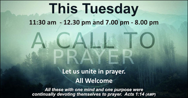 Prayer 41
